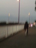 e0148989_0541132.jpg