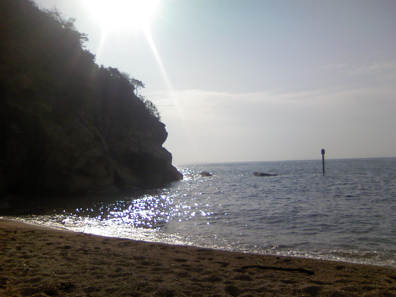 b0135992_1232376.jpg