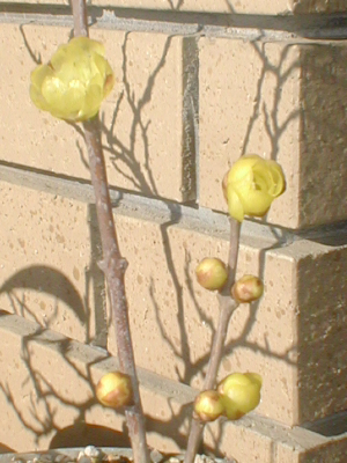 e0116694_23223551.jpg
