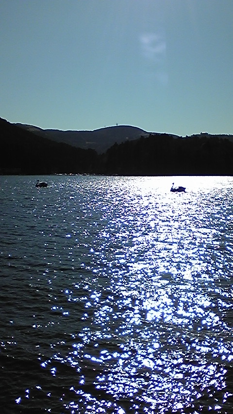 e0126094_1330121.jpg