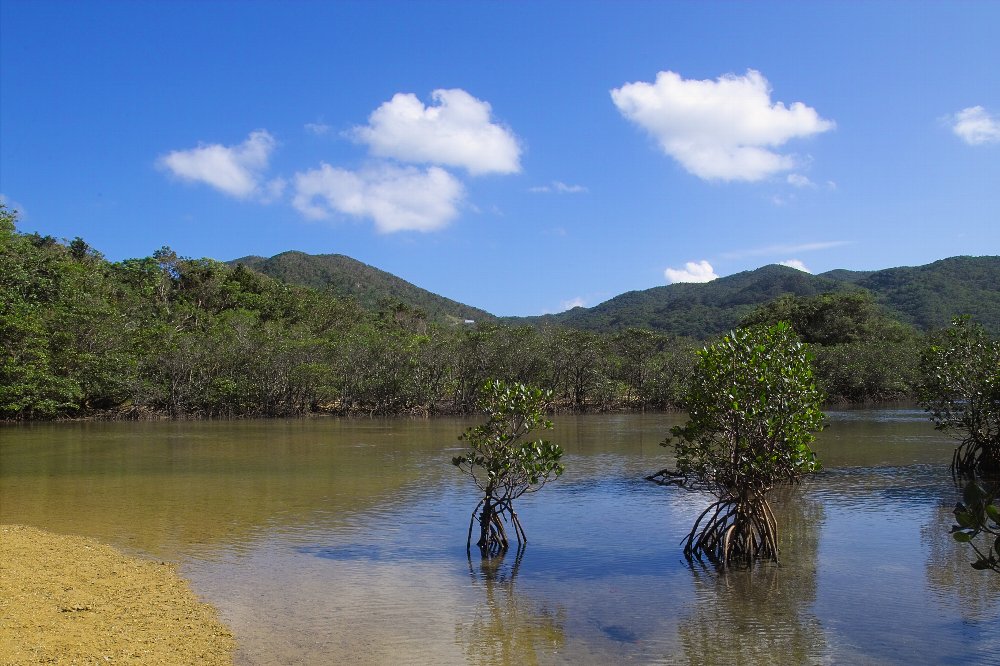 c0124795_13443420.jpg