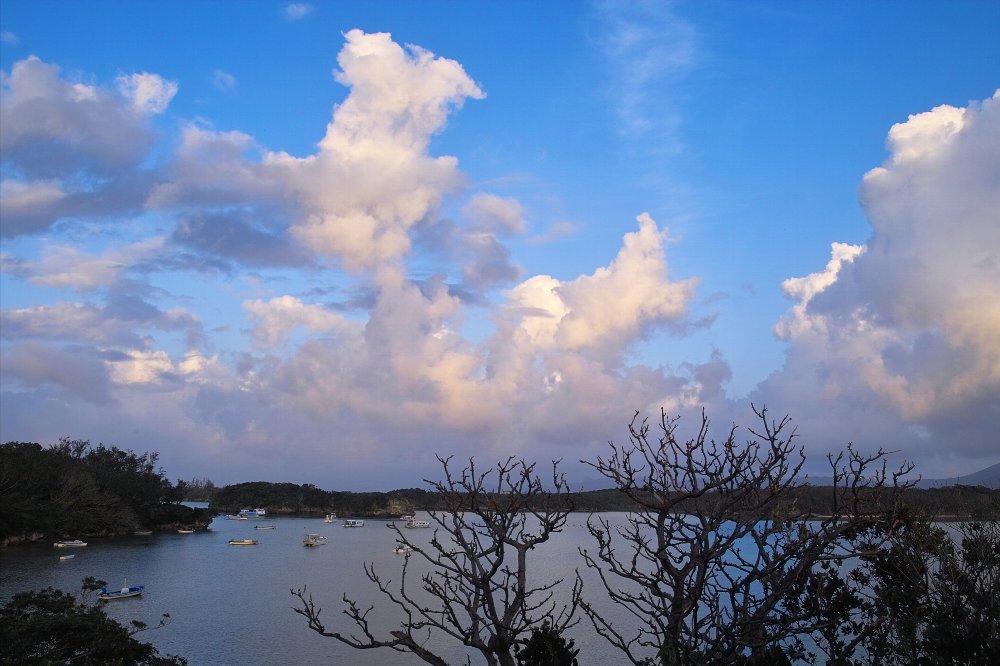 c0124795_13445981.jpg