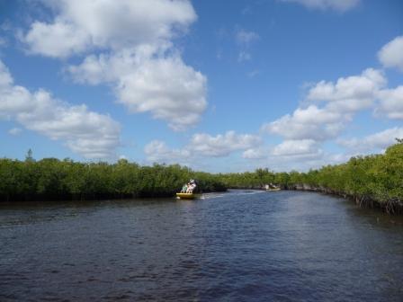 b0101096_8503425.jpg