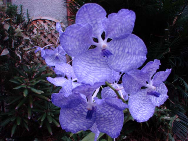 d0007501_23372118.jpg