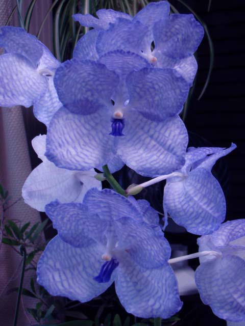 d0007501_23405242.jpg