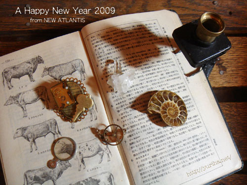 謹賀新年_c0077407_11282283.jpg