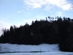 f0141507_2182746.jpg