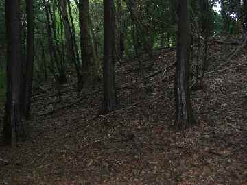 c0051112_9574194.jpg