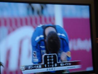 ガンバ大阪 柏レイソル 天皇杯決勝 フリーダムヒルズ青赤春白書