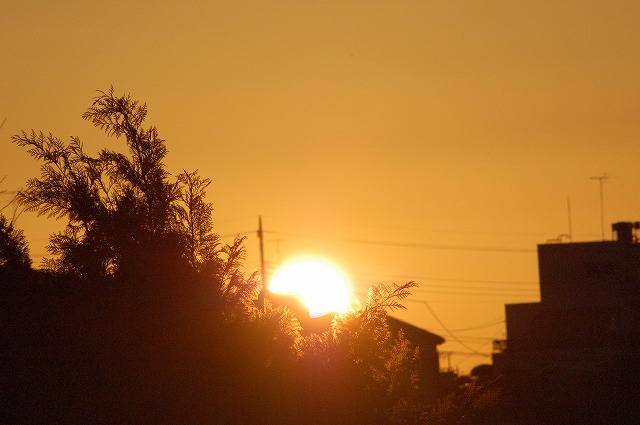 c0128722_7231886.jpg