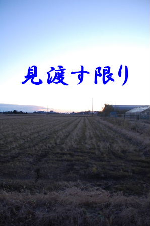 c0130324_23372313.jpg