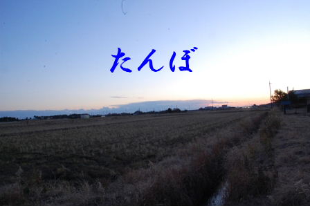 c0130324_23375947.jpg