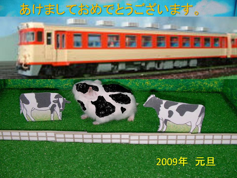 2009年新年あけましておめでとうございます。_a0066027_3384159.jpg