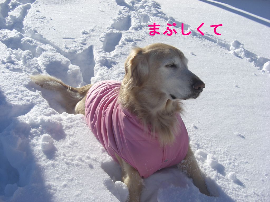 e0142430_15403931.jpg