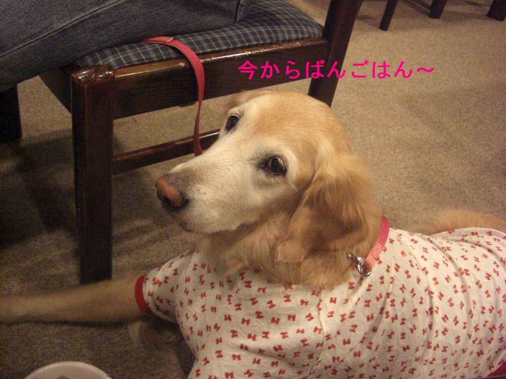 e0142430_15514812.jpg