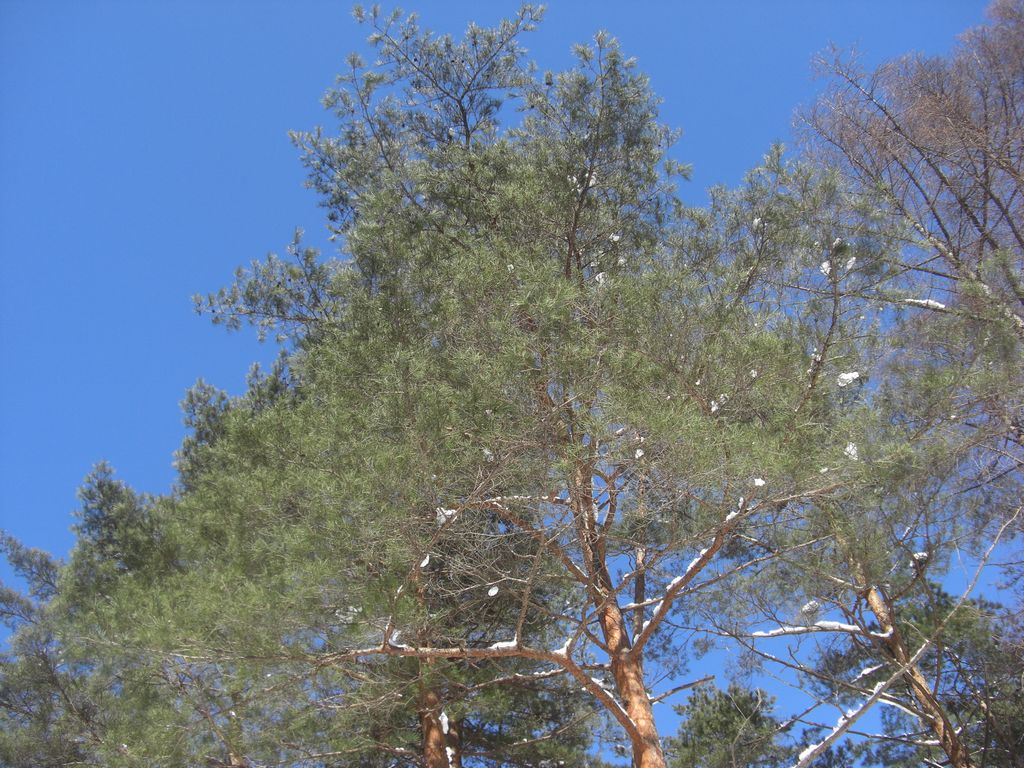 e0142430_16275969.jpg