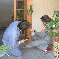 d0033734_10565624.gif