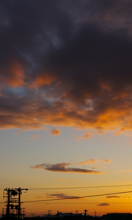 e0086642_1123988.jpg