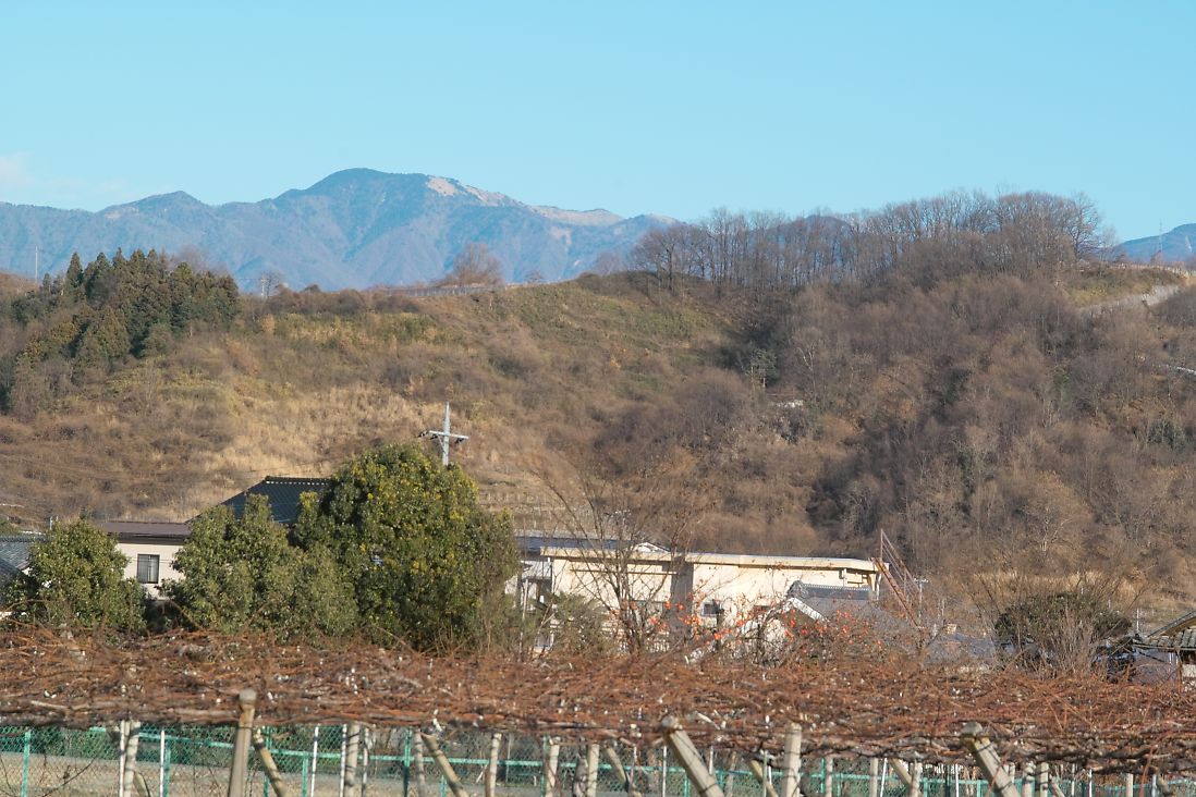 天狗山で年越し蕎麦_c0008948_14351861.jpg