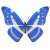 e0064158_1953489.gif