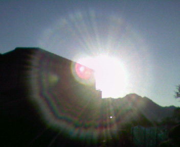 b0105259_8561292.jpg