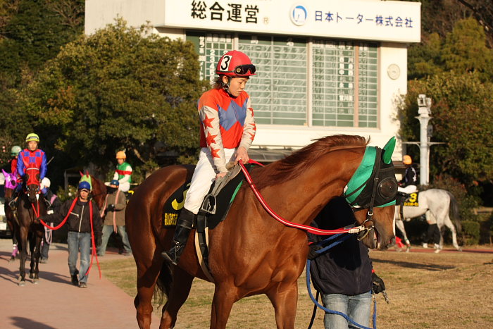 福山・高知交流 高知市長賞 パドック_a0077663_1922748.jpg