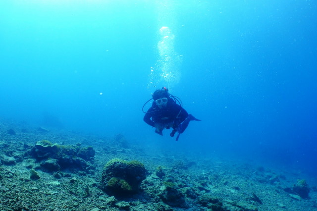 e0019967_26408.jpg