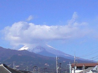 d0109373_144182.jpg