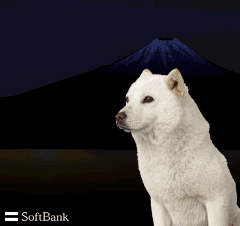 c0039376_1165777.gif