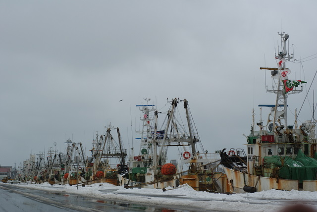 e0152186_98239.jpg