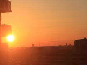 2009年_d0145592_859656.jpg
