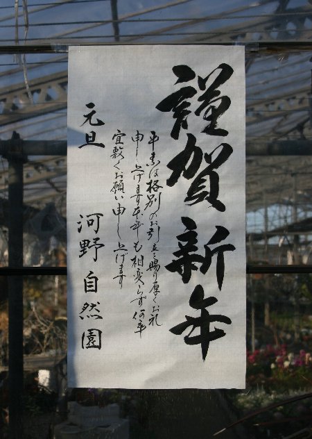 f0054197_19523290.jpg