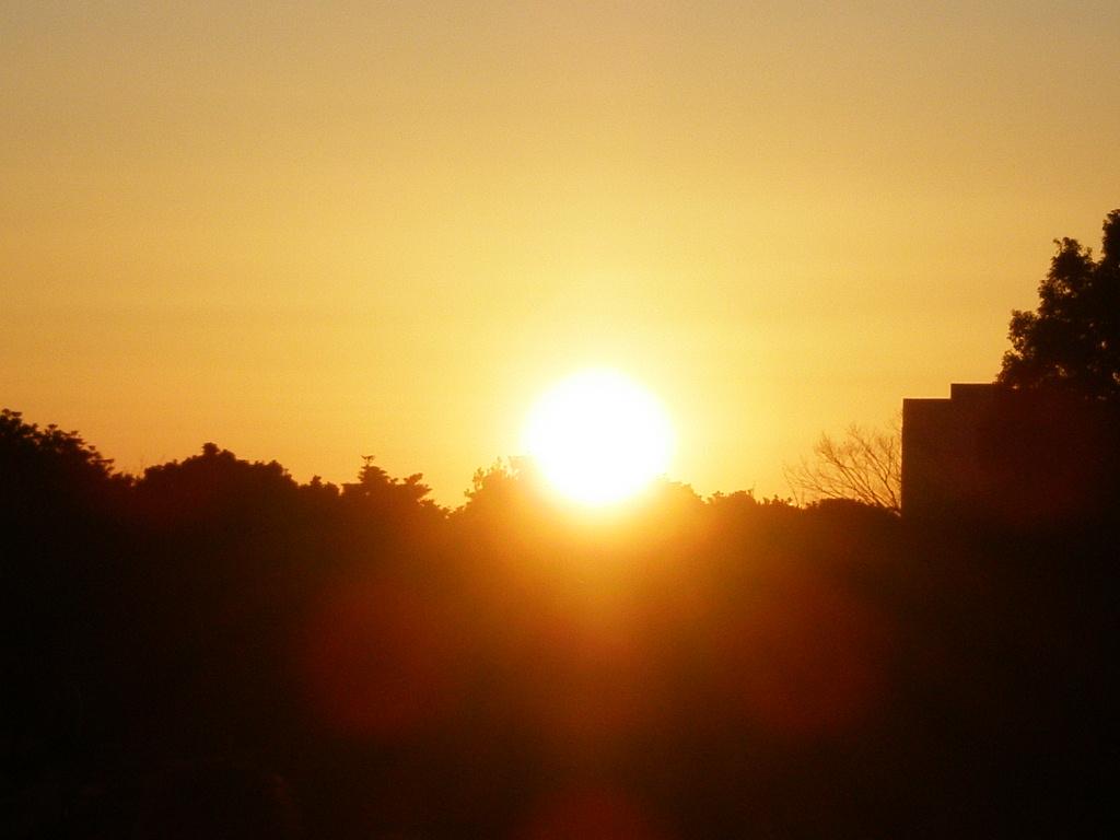 c0100901_204148.jpg