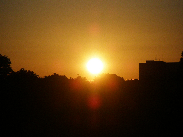 c0100901_207276.jpg