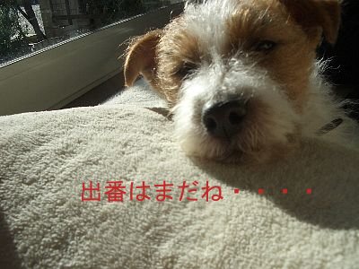 a0051402_1433510.jpg