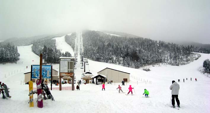c0078410_2331635.jpg