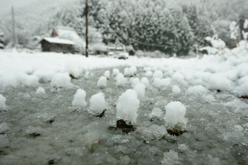 美山茅葺きの里・初撮り初雪景色　其の一_f0032011_15313576.jpg