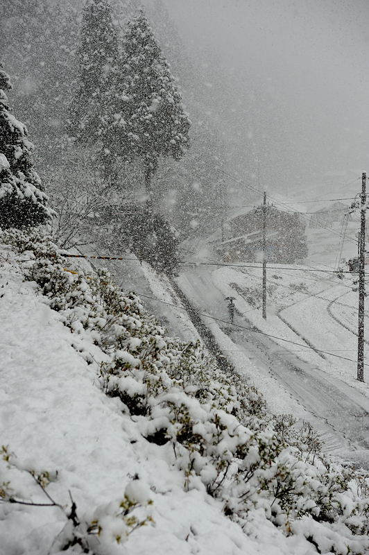 美山茅葺きの里・初撮り初雪景色　其の一_f0032011_15331586.jpg