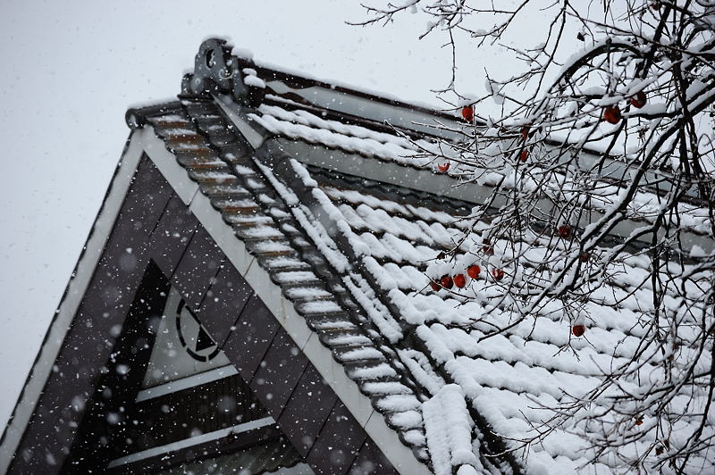 美山茅葺きの里・初撮り初雪景色　其の一_f0032011_1533375.jpg