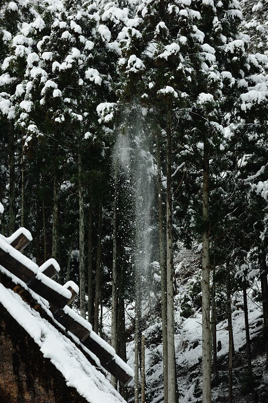 美山茅葺きの里・初撮り初雪景色　其の一_f0032011_1534076.jpg