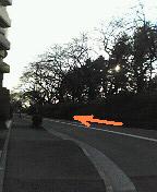 b0156012_12517.jpg