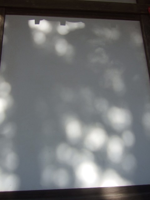 f0143119_10232927.jpg