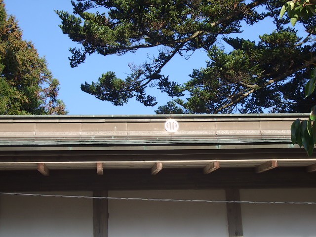 f0143119_10243067.jpg