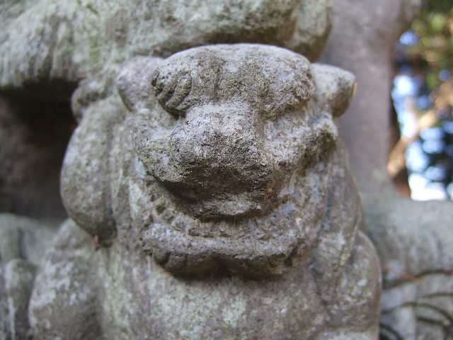 f0143119_10255053.jpg