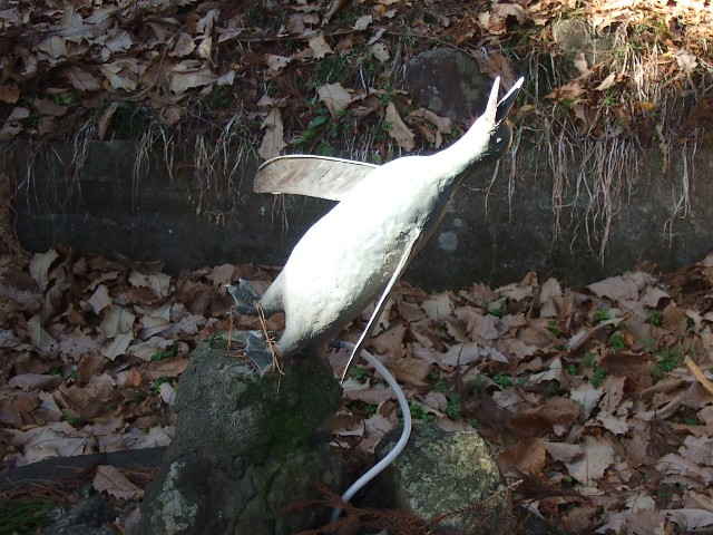 f0143119_1113334.jpg