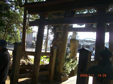 d0065324_1432558.jpg