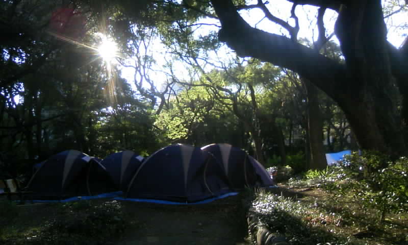 d0009828_14462482.jpg