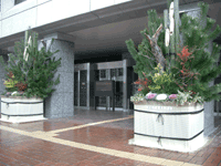 b0049029_18471413.gif