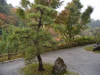 e0036931_135587.jpg