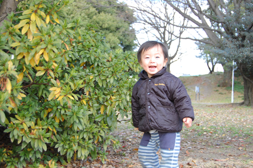 岐阜の初詣は、やっぱり伊奈波神社！_b0013735_0401353.jpg